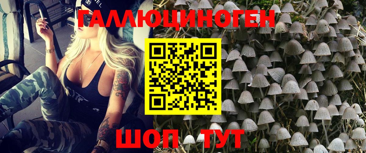 Псилоцибиновые грибы Psilocybe  Вход с VPN  Галлюциногенные грибы Psilocybe  Камень-на-Оби 